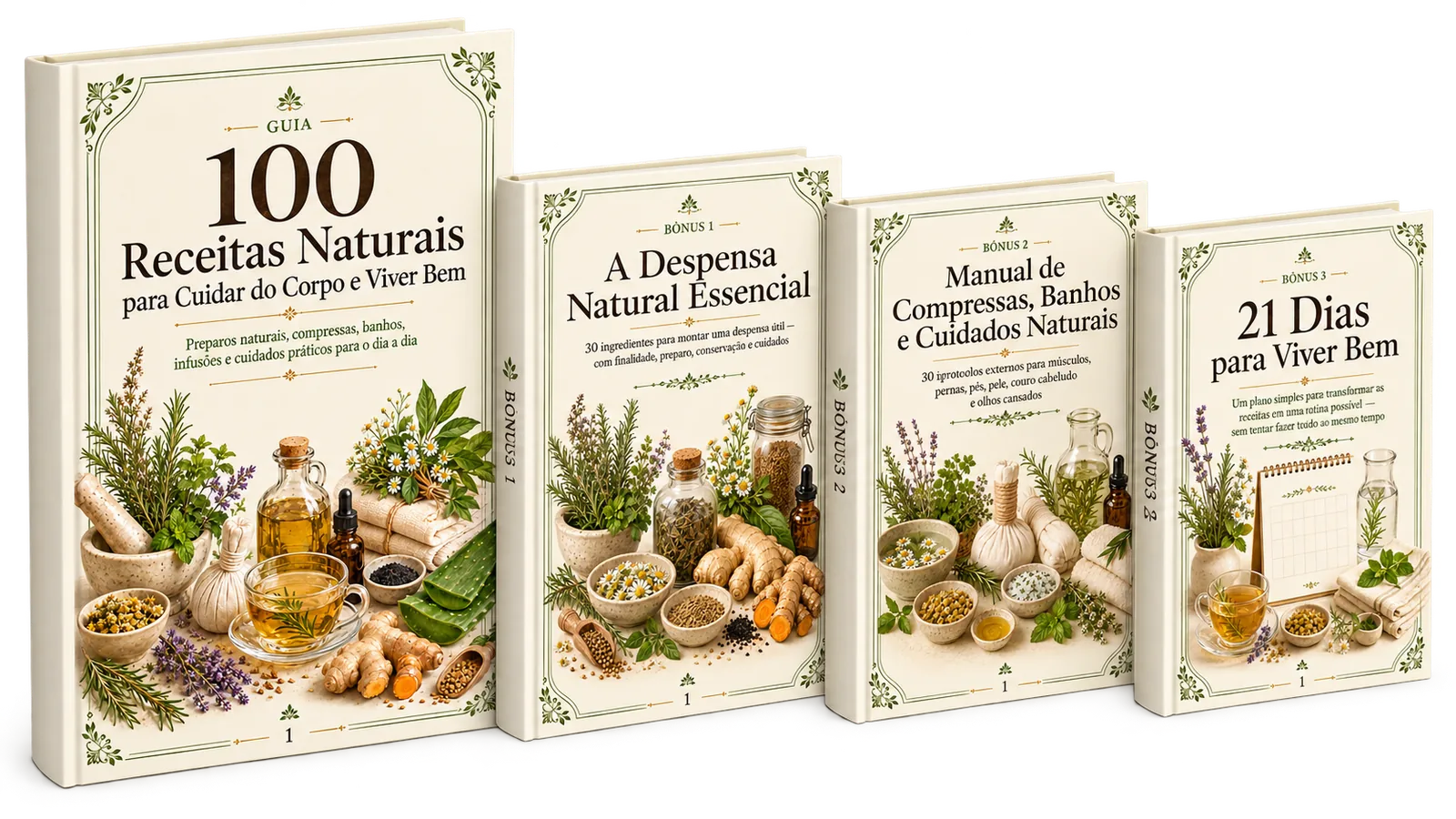 Guia 100 Receitas Naturais e os 3 bônus